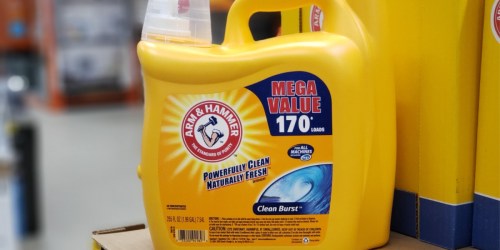 Arm & Hammer Laundry Detergent HUGE 255oz Bottles Only $8.23 Each Shipped After Target Gift Card