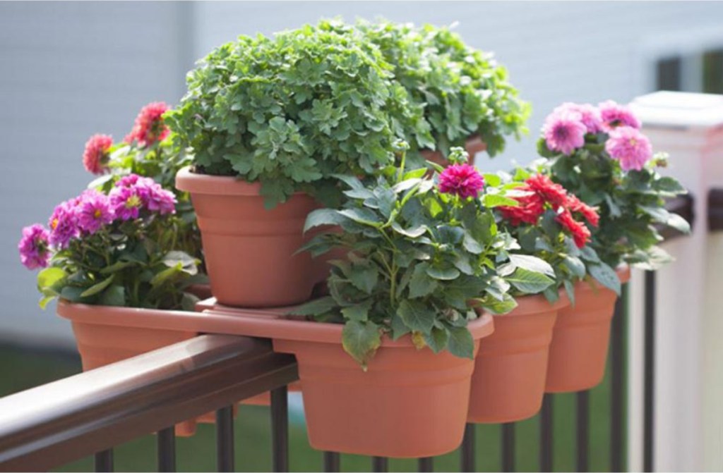 Bloem Terra Cotta Milano Plastic Deck Rail Planter with multiple plants and flowers inside of the planter resting on railing