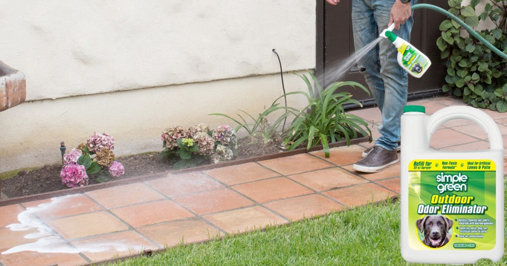 person spraying simple green on backyard lawn and brick patio area with garden hose