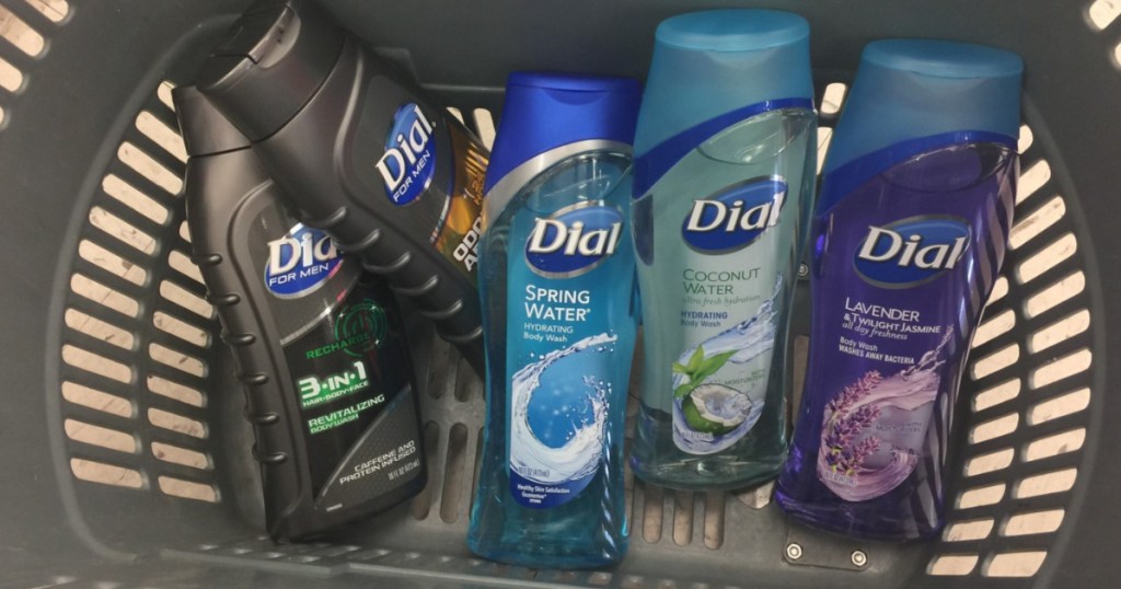 Walgreens Dial Body Wash