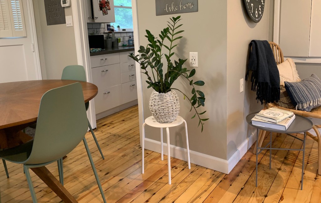 living area with white stool and plant sitting on top