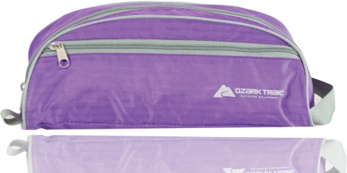 Ozark Trail Travel Organizer Only $2.99 on Walmart.online (Regularly $10)