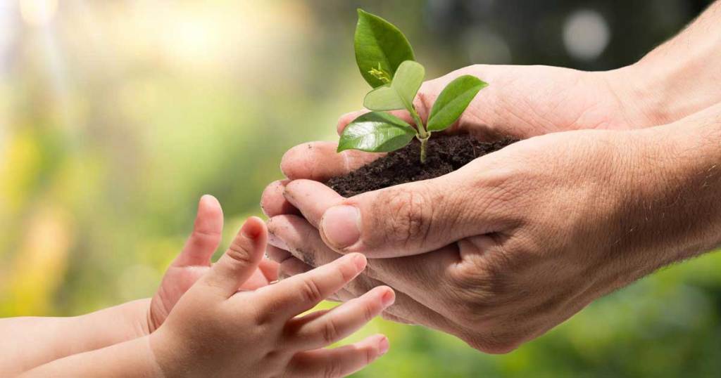 parents hand holding a plant seedling to a young child's hands