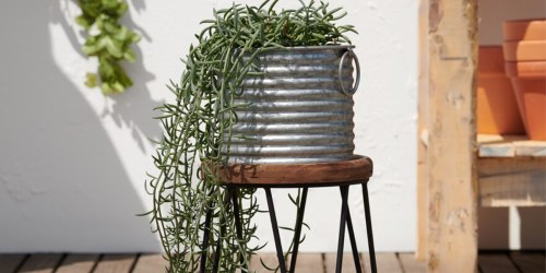 2 Sonoma Galvanized Planters w/ Stands Only $34.98 Shipped for Kohl’s Cardholders | Only $17.49 Each