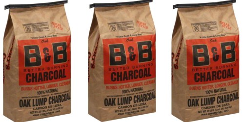 Natural Oak Charcoal 20-Pound Bag Only $11.99 on AceHardware.online