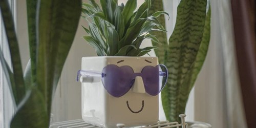 Face Plant Holder Just $7.49 on Target.online (Regularly $15) | Fun to Decorate & Personalize