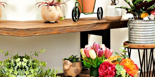 Ceramic Planters Only $6.99 Shipped for Kohl’s Cardholders (Regularly $20)