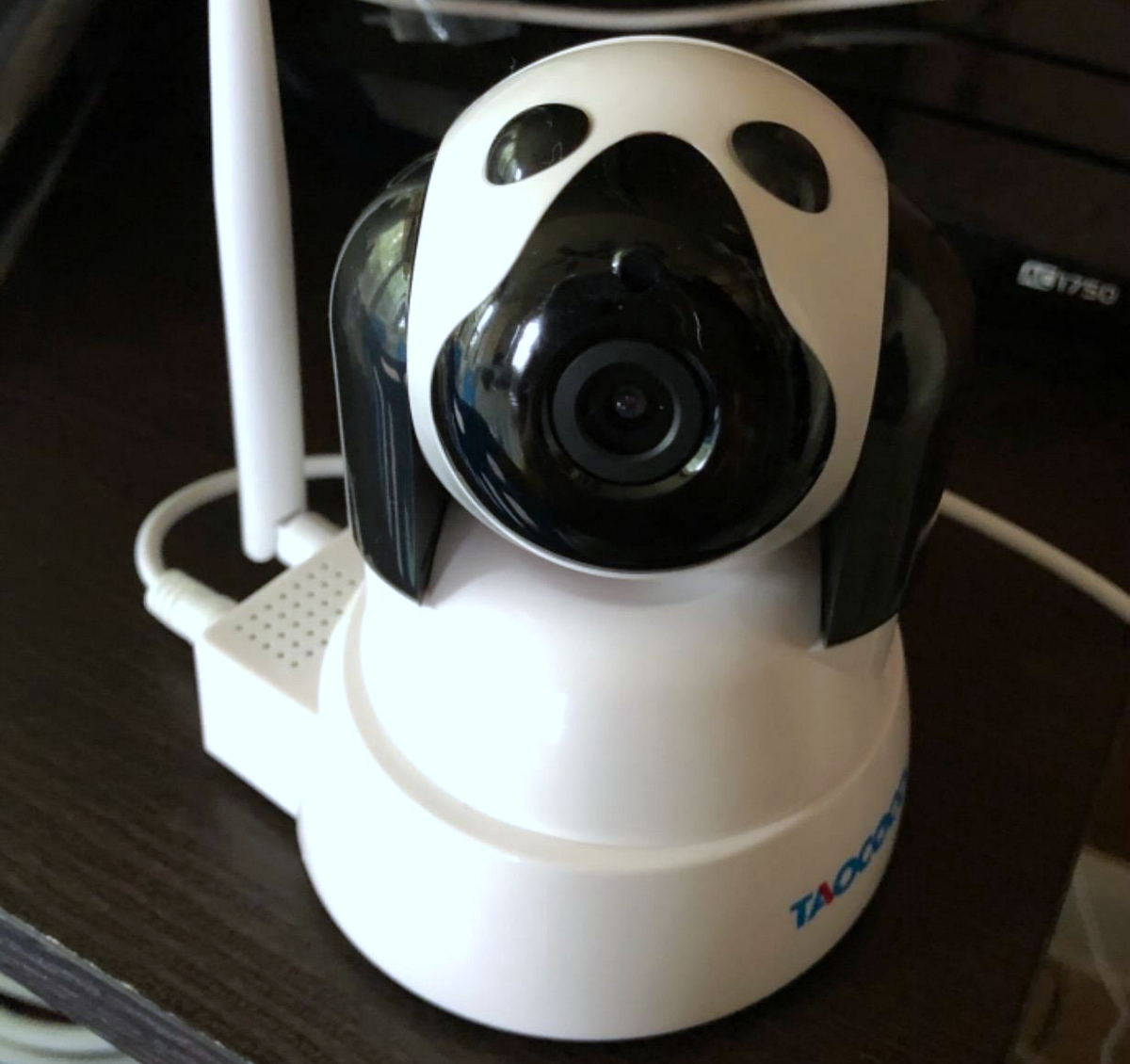 taococo dog camera that looks like robotic dog