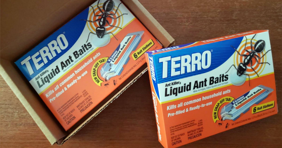 two packs of Terro Liquid Ant Baits