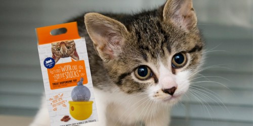 Whisker City Cat Toys Only $1 on PetSmart