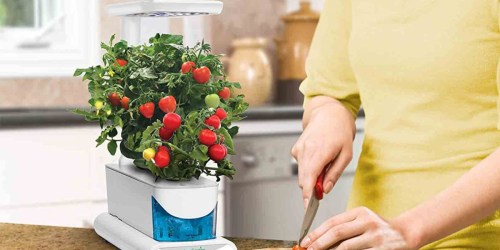 AeroGarden onlinepact Indoor Garden & Herb Seed Kit Only $57.99 on Woot.online (Regularly $100)