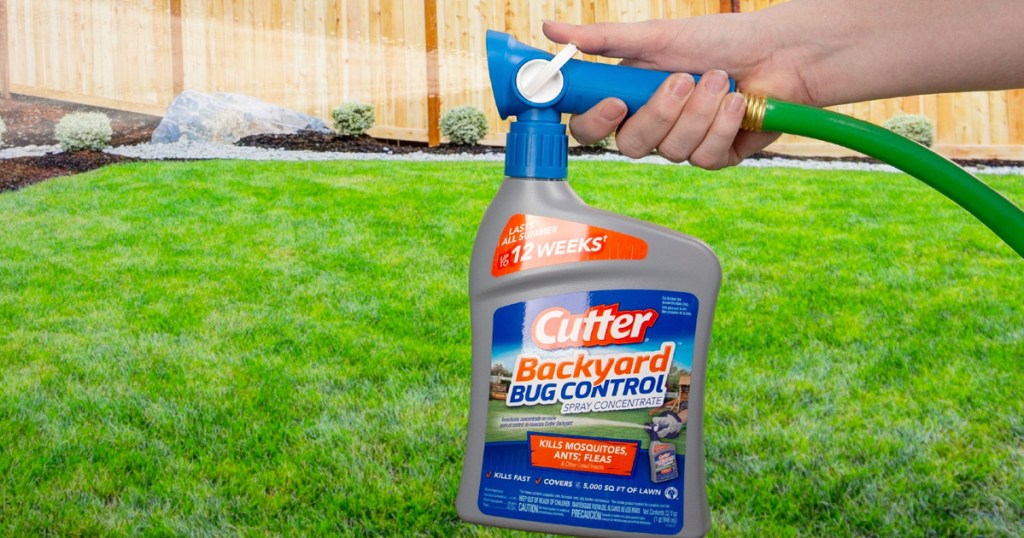 person holding a grey and blue bottle of cutter bug control attached to garden hose and spraying on grass