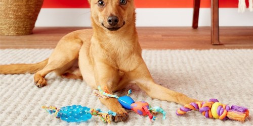 Up to 70% Off Pet Toys on Petsmart.online