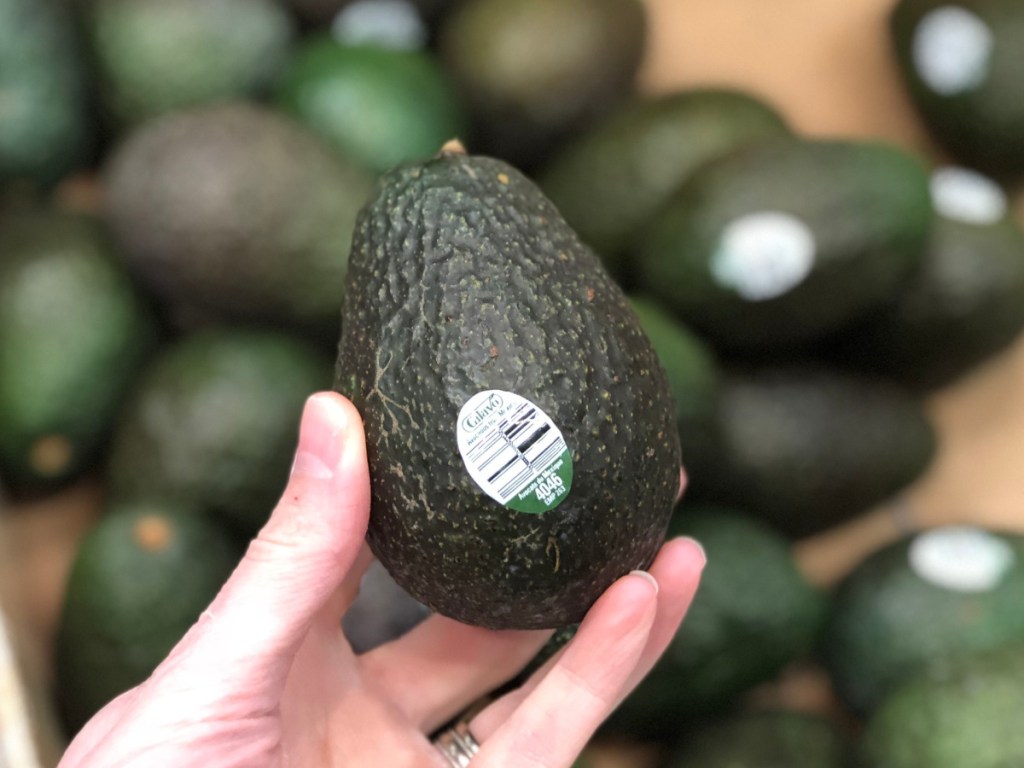 woman's hand holding up a fresh green avocado