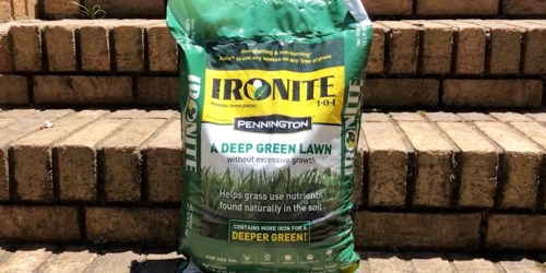 Ironite Lawn Supplement 15lb Bag Just $9.49 on Lowes.online (Regularly $19)