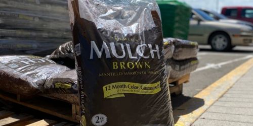 Premium Hardwood Mulch Only $2 at Lowe’s | In-Store Only