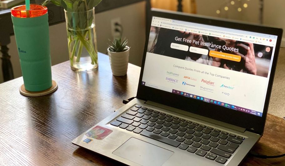 A laptop on a desk displaying a pet insurance quote tool