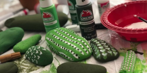 This Painted Rock Cactus Garden is a Fun DIY Project for All Ages!