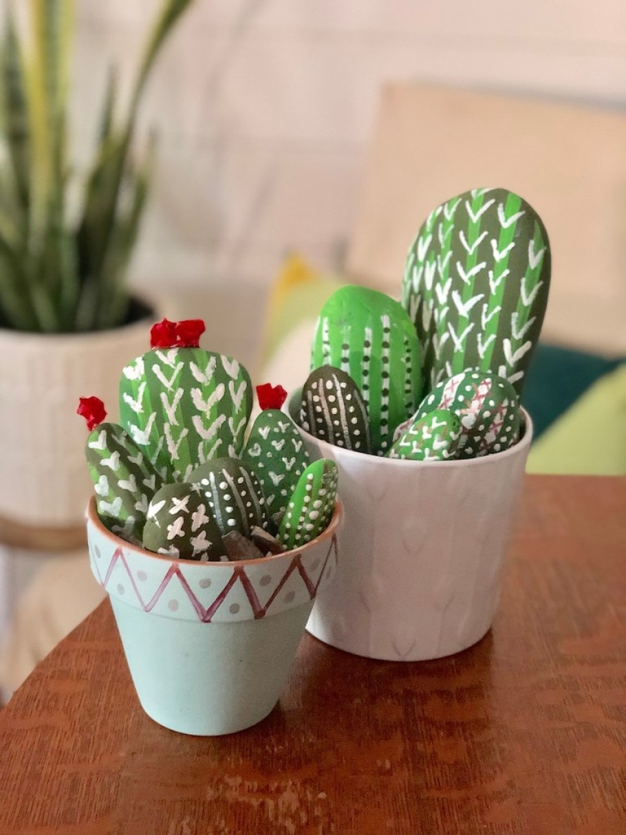 cactus rock garden in flower pots 