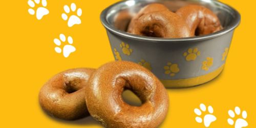 **New Einstein Bagels Coupon | FREE Doggie Bagel w/ Egg Sandwich or Breakfast Burrito Purchase