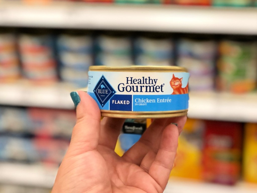 person holding Blue Buffalo Healthy Gourmet Can Cat food