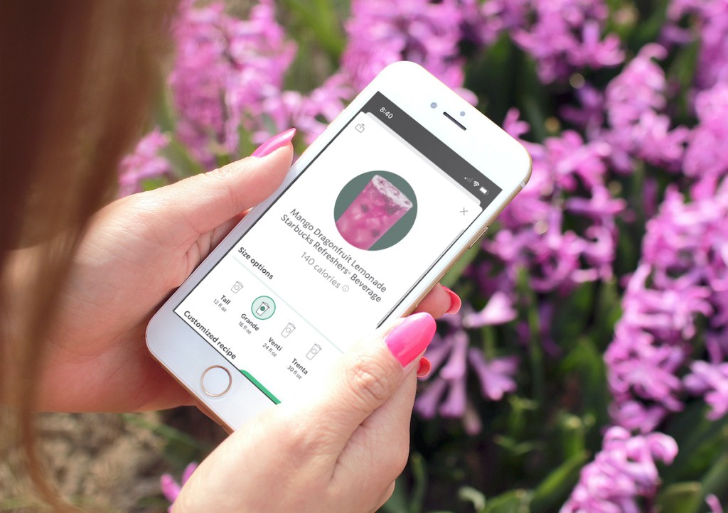 hand holding phone in front of purple flowers with starbucks refresher drink order on screen