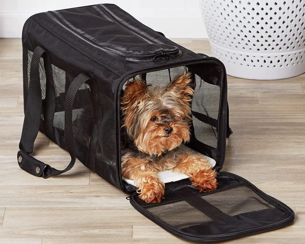 yorkie inside of black amazonbasics pet traveler