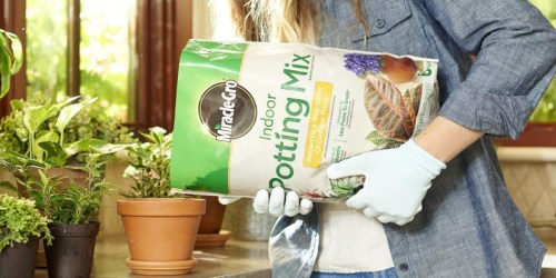 Miracle-Gro Indoor Potting Mix 6-Quart Bag Only $4.97 on Amazon