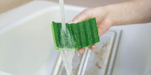 Heavy Duty Scrub Sponges 6-Pack Only $3 Shipped on Staples.online