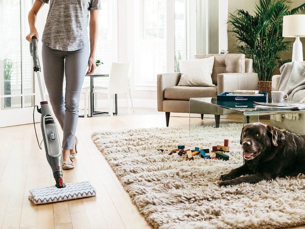 woman pushing steam mop on hardwood floor near dog laying on area rug