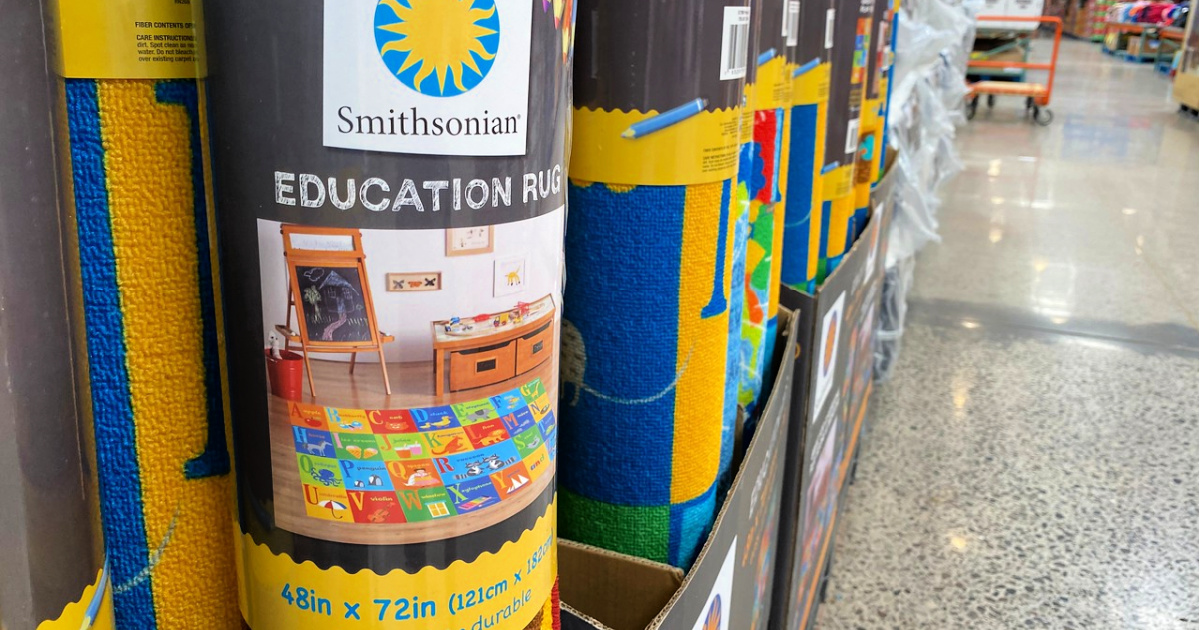 Smithsonian Educational Rugs at Costco