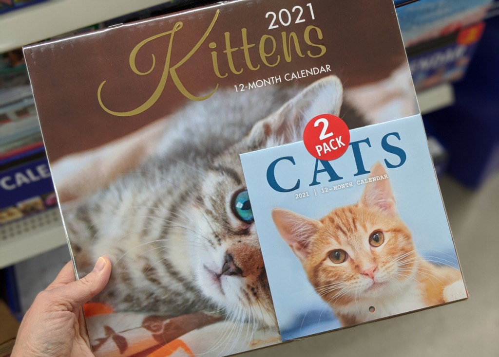 2021 cat calendar at dollar tree