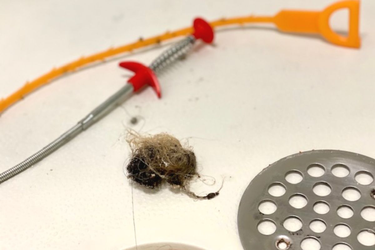 A chunk of hair from a shower drain next to drain clog tools