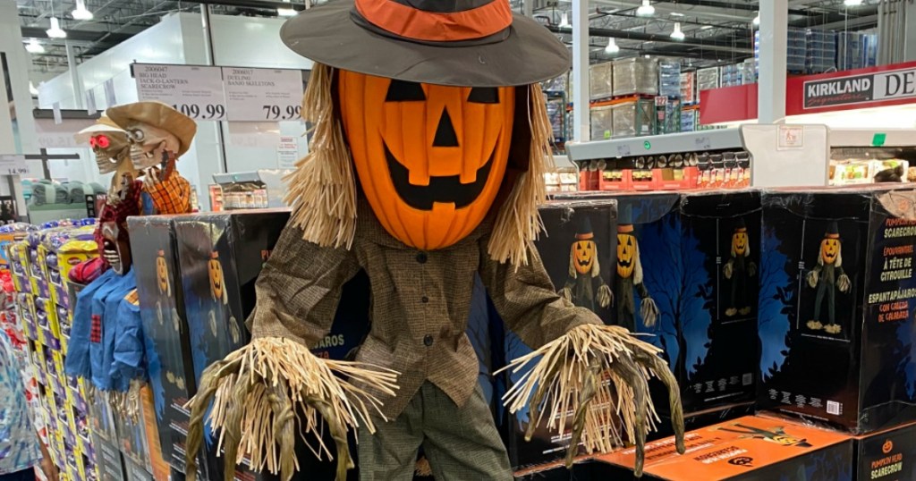 Halloween Scarecrow