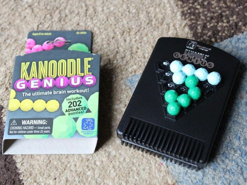 Kanoodle Genius Brain Teaser Game