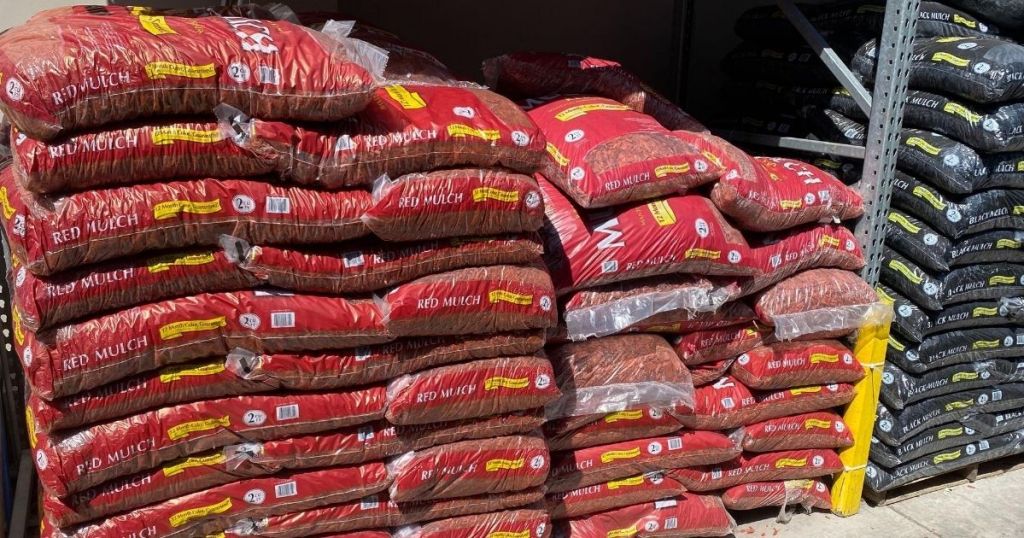 stacks of bagged lunch at store