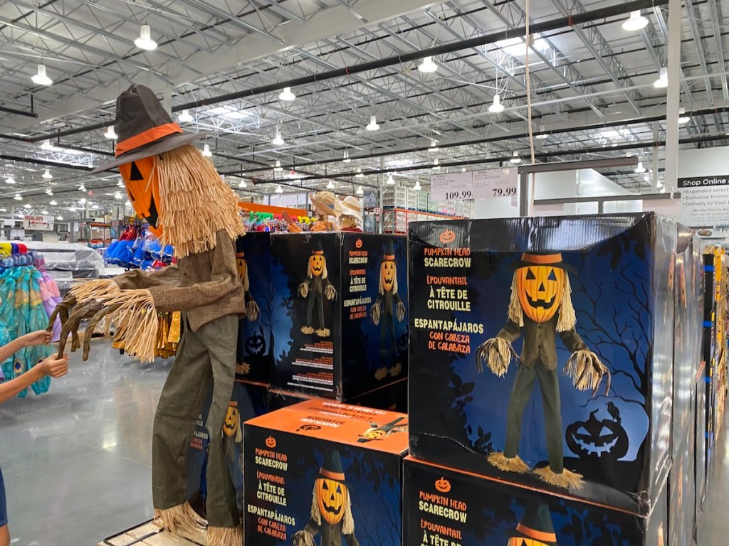 Scarecrow at Costco