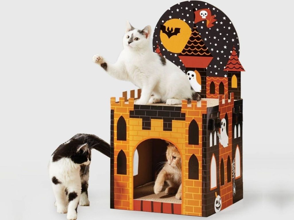 double decker halloween cat scratcher 