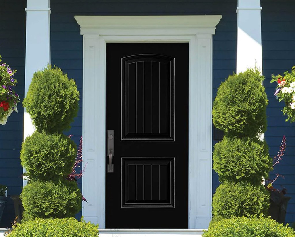 black front door with landscaped bushed out front