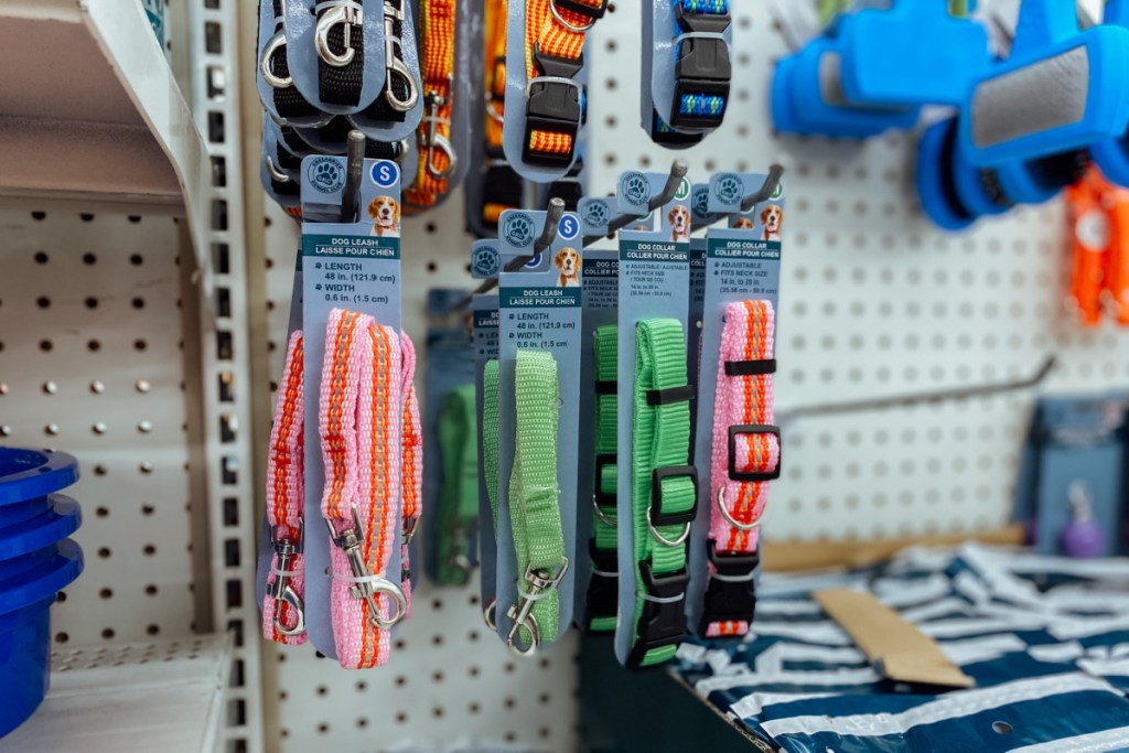 pet supplies at dollar tree