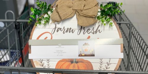 Get Inspired to Decorate with Fall Decor Under $9 at ALDI