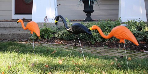 Spooky Flamingos 10-Pack Just $39.98 Shipped on HomeDepot.online (Only $4 Each!)