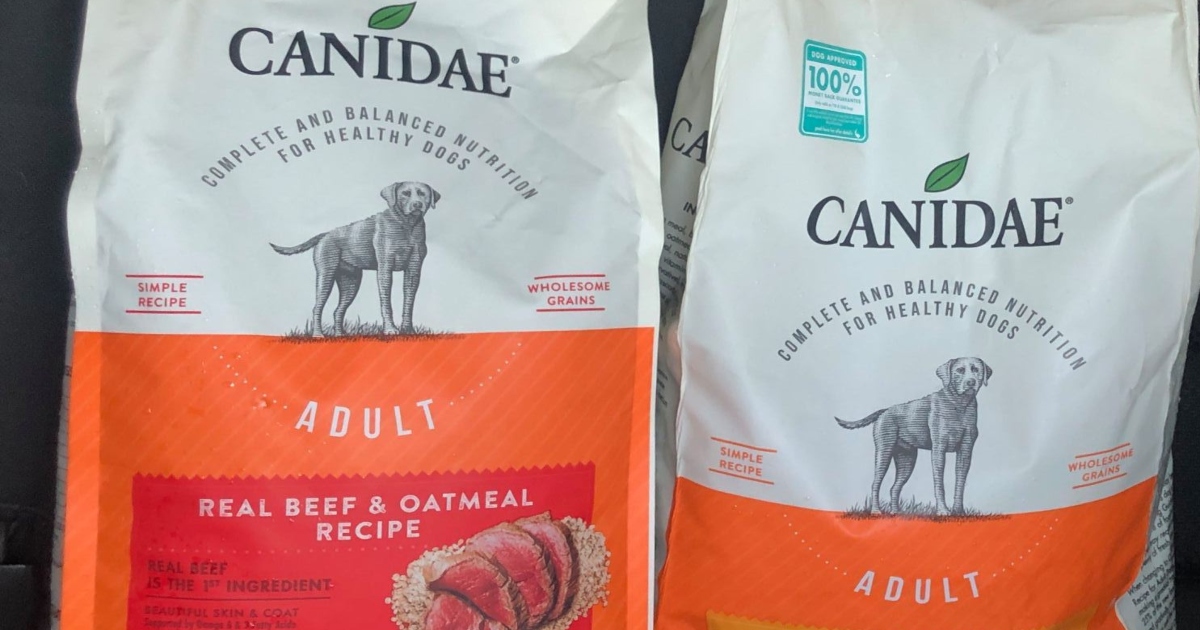 Two bags of Canidae Dog food in an orange and cream bag