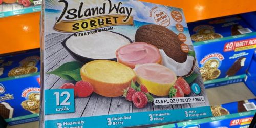 Island Way Hand Made Fruit Sorbets Are Sold at Costco & They onlinee in Real Fruit Shells