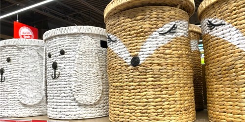 These ALDI Animal Storage Baskets are $59 LESS than Pottery Barn