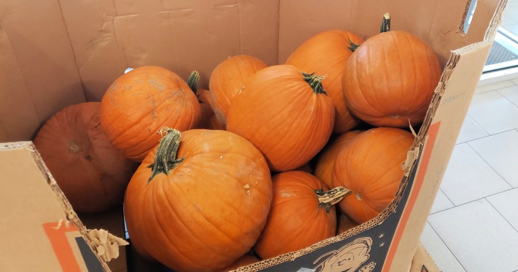 Pumpkins on display at ALDI