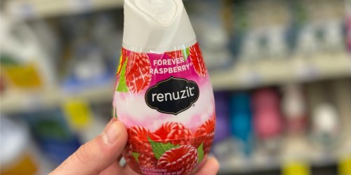 SIX Renuzit Air Fresheners Only $3.80 on Walgreens.online (Just 63¢ Each)