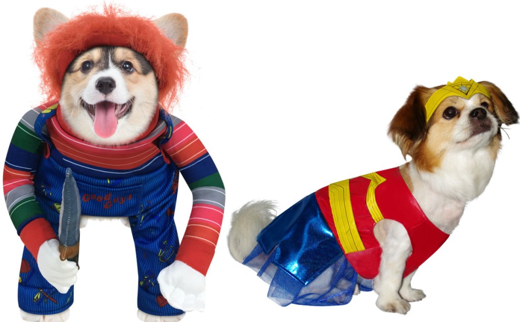 dog in Chucky costume and dog in Wonder Woman costume