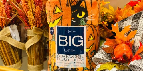 The Big One Oversized Plush Throws Only $8.50 Each on Kohls.online (Regularly $30) | Over 25 Designs