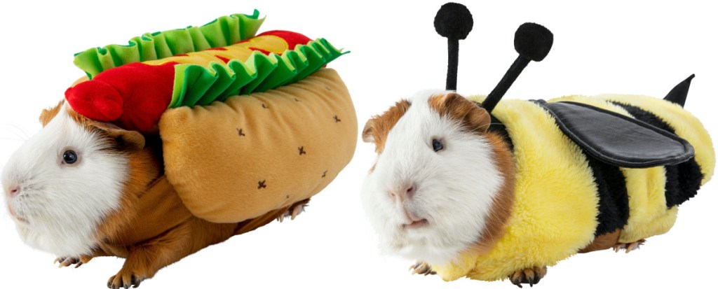 guinea pig in hot dog costume and guinea pig in bee costume